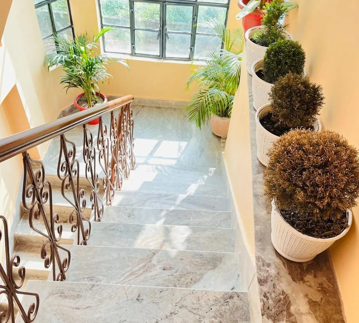 Apartman Travellers Stay Váránaszi